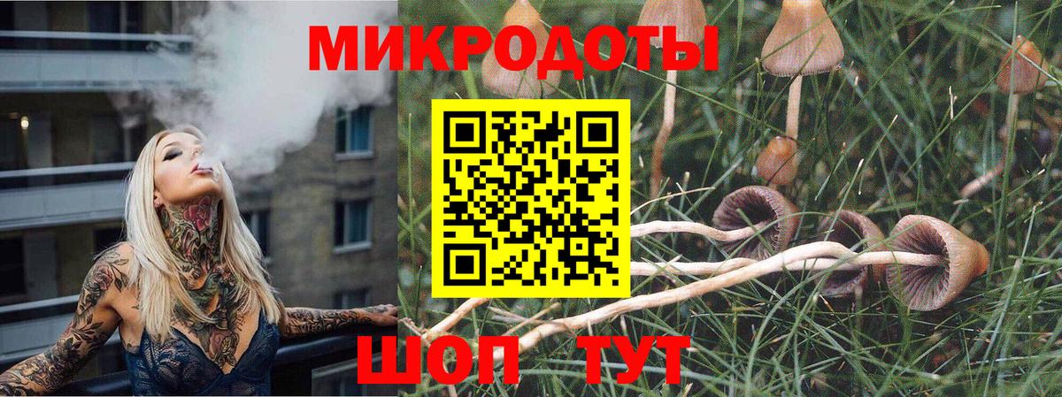 Сертолово  Псилоцибиновые грибы GOLDEN TEACHER  Галлюциногенные грибы ЛСД  как найти наркотики  Вход с VPN 